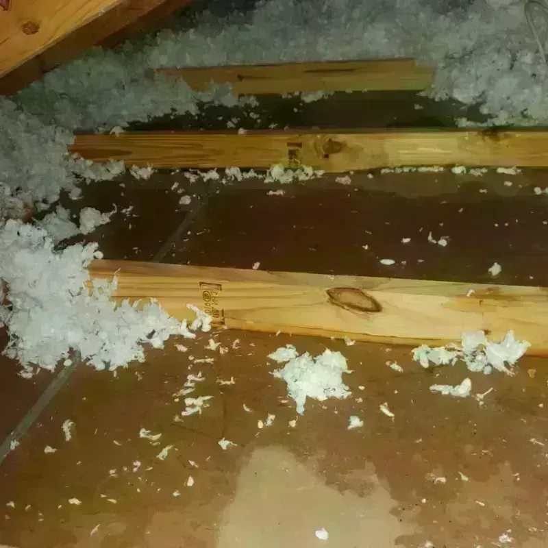 Attic Water Damage in Buffalo County, NE