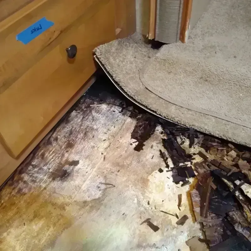 Wood Floor Water Damage in Buffalo County, NE